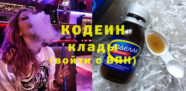 хмурый Абаза