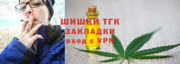 прущие грибы Абинск