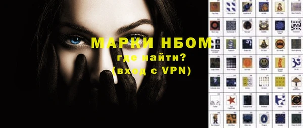 хмурый Абаза
