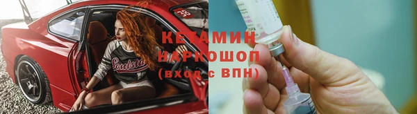 прущие грибы Абинск