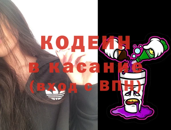 прущие грибы Абинск