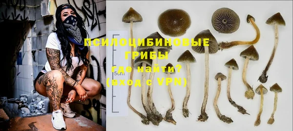 дурь Абдулино
