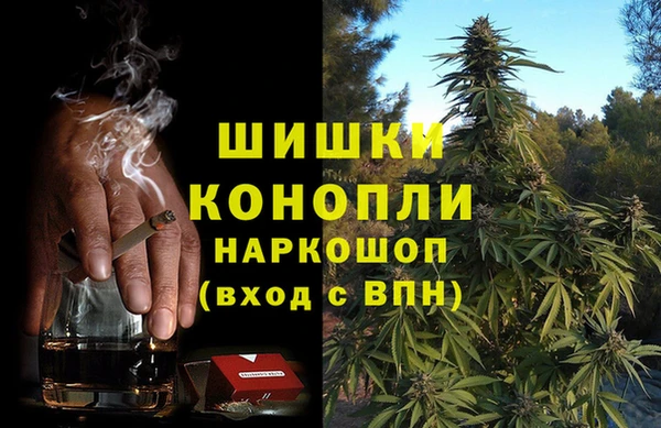 прущие грибы Абинск