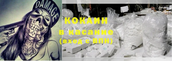 хмурый Абаза