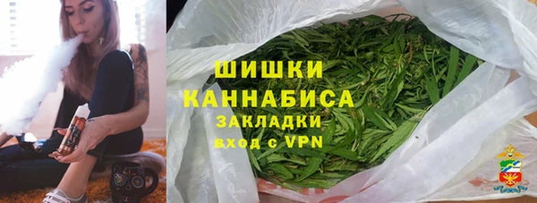 шишки Алзамай
