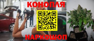 ALPHA PVP Гусиноозёрск