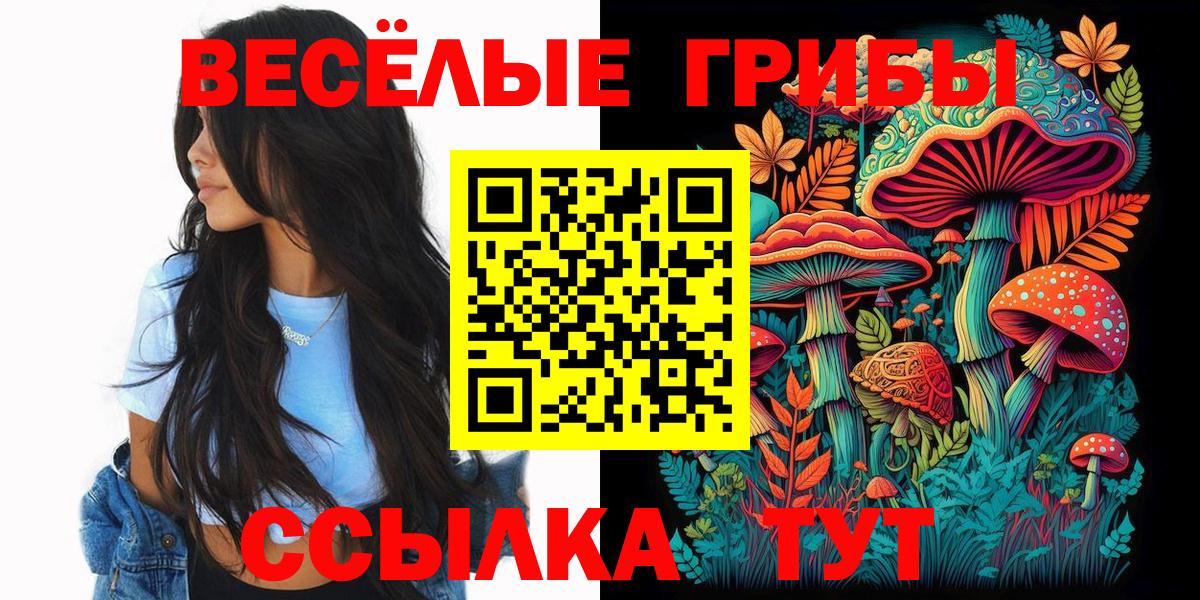 Псилоцибиновые грибы мицелий Омск