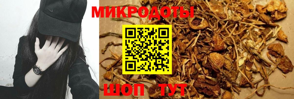 Омск  Псилоцибиновые грибы Cubensis  Псилоцибиновые грибы GOLDEN TEACHER  Вход с VPN 
